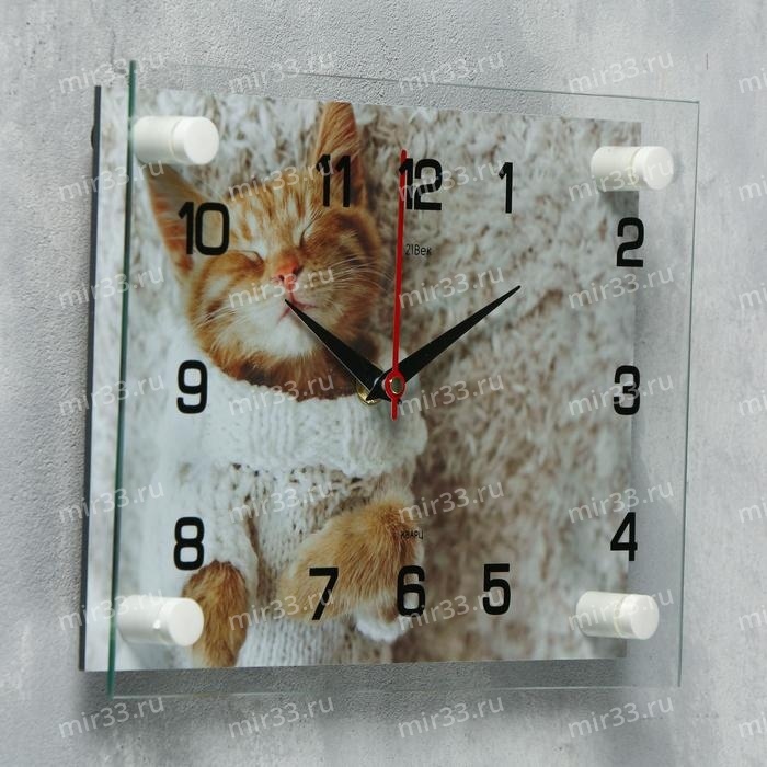 Часы настенные, серия: Животный мир, Мур-Мур , 20х26 см, микс 3979112