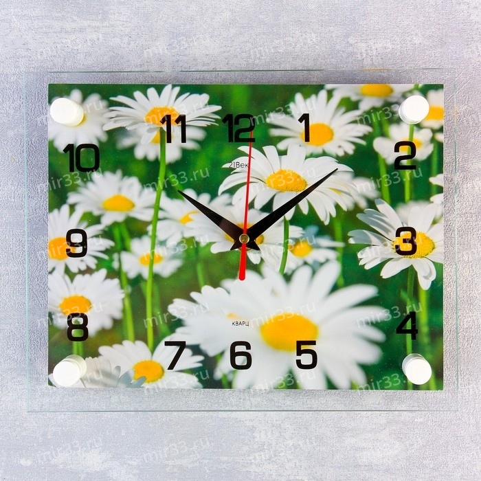 Часы настенные, серия: Цветы, "Ромашки", 20х26 см  микс