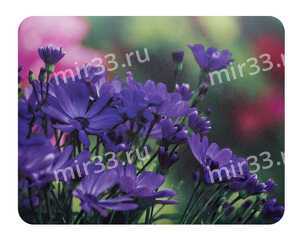 Коврик игровой Buro, BU-M20012, 230x180x2 мм, пластик, цвет: голубой, цветы