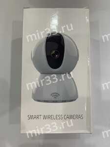 Smart wireless cameras Y13A-ZY(G)